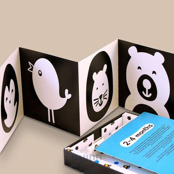 DaJinn High Contrast Black & White Flash Cards for Babies (0 Months+)