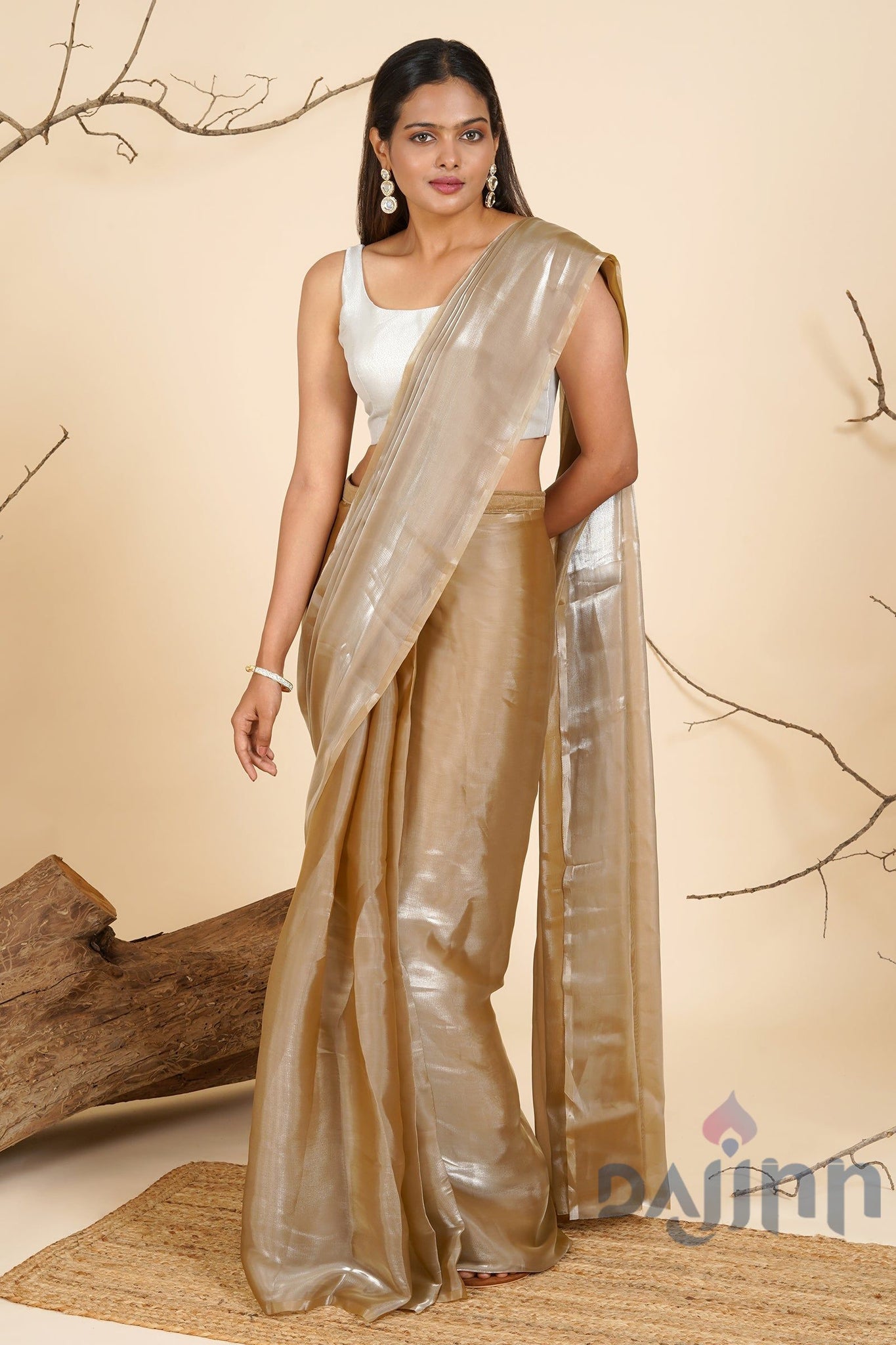 AYSR Boutique Gilded Glamour Tissue Pre-Draped Saree