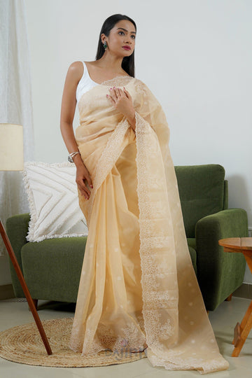 AYSR Boutique Manahil Embroidered Organza Saree