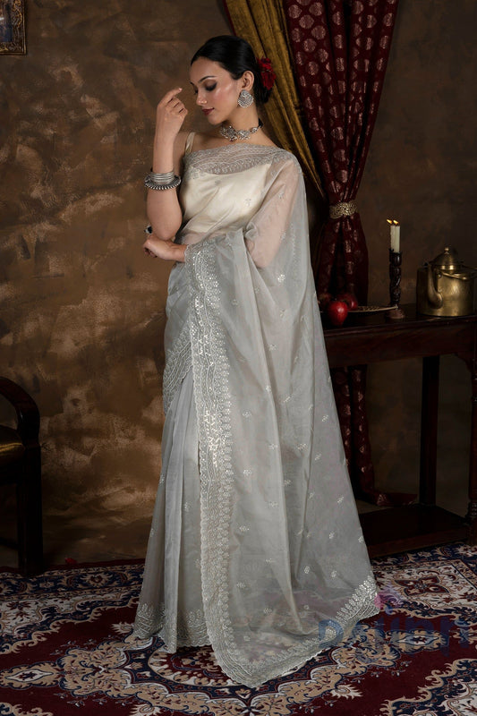 AYSR Boutique Aanisha Sage Green Sequin Embroidery Organza Saree